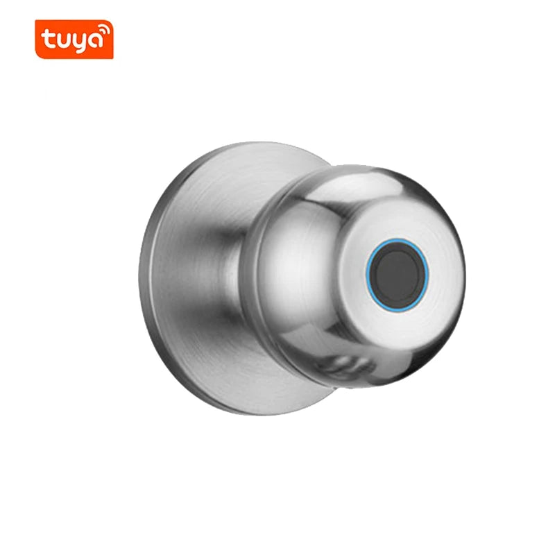 Smart Door Locks Tuya Smart Life Remote Control Keyless Unlock Fingerprint Electronic Lock Home Automation Apartment Bedrooms